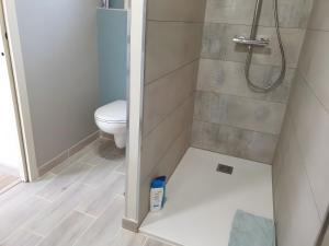 a bathroom with a shower and a toilet in it at Chambre Terre et Mer-Millet in Gréville-Hague
