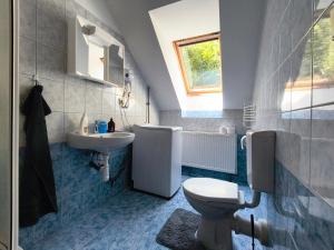 a bathroom with a toilet and a sink at Penzion Pomněnka in Lipova Lazne