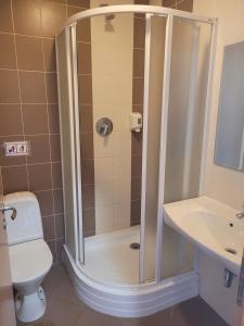 a shower in a bathroom with a toilet and a sink at RV kavinė motelis in Salaperaugis