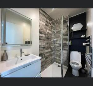 a bathroom with a toilet and a sink and a shower at 27m with terrace - first row sea view in Six-Fours-les-Plages