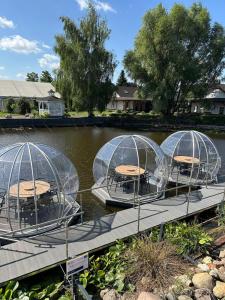 three boats in domes on a dock in the water at Hotel Nenufar in Kościan