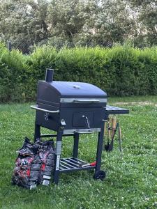 a grill sitting on the grass in a yard at The Peak in Zărneşti +13 photos