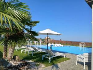 a pool with chairs and an umbrella next to a palm tree at Villa Regina in Cisterna dʼAsti