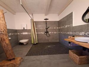 a bathroom with a shower and a toilet and a sink at Little-Lama-Lodge in Naila