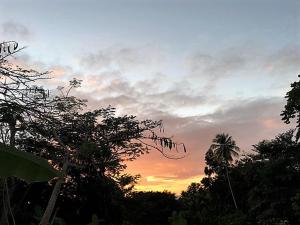 chmurne niebo z palmą i zachodem słońca w obiekcie Tobago Hibiscus Golf Villas & Appartments w mieście Mount Irvine