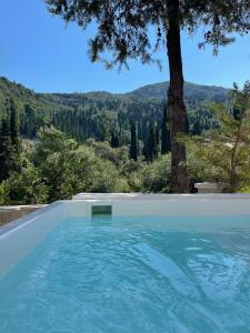 a swimming pool with a tree and mountains in the background at Doliva Studio 6 with private pool in Agios Gordios