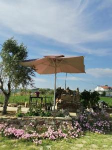 a large umbrella sitting in a field with flowers at Camping BORA in Cërrik