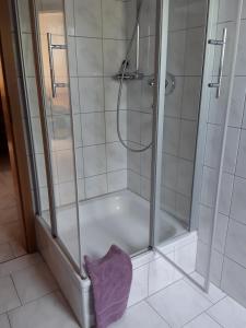a shower with a glass door in a bathroom at Tor zum Darss in Pruchten
