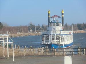 a ferry boat is docked at a pier at Tor zum Darss in Pruchten