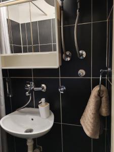 a bathroom with a sink and a shower at Apartman IVANA in Vrdnik