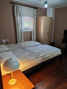 a bedroom with a large bed and a window at Apartman IVANA in Vrdnik