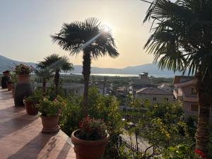 a view of a balcony with palm trees and plants at A&A Aparthotel in Orikum