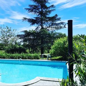 a swimming pool with a tree in the background at Clos de la source Gironde in Saint-Martin-du-Bois