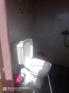 a bathroom with a toilet with the lid up at Chez Julienne in Fianarantsoa