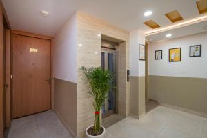a hallway with a door and a plant in a vase at Itsy Hotels Riya Near IGI Airport in New Delhi