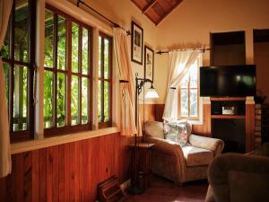 a living room with a chair and a tv and windows at Vineyard Cottages - Kumeu in Waimauku