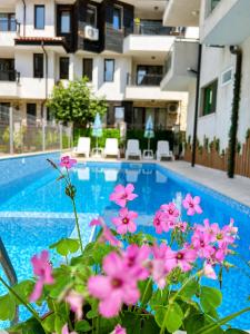 a swimming pool with pink flowers in front of a building at Tabanov Beach Hotel in Sozopol