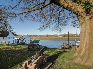 a tree and a bench next to a body of water at Blue Door - Kirkcudbright in Kirkcudbright
