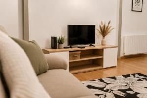 a living room with a couch and a television at Ribeirinha Guesthouse in Guarda