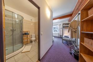 a bathroom with a shower and a toilet in a room at Chata u kostela in Kořenov +118 photos