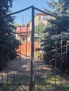 a gate with a fence in front of a house at House in the forest in Tyup +3 photos