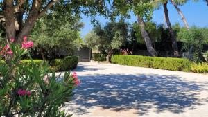 a walkway in a park with trees and pink flowers at Ponderosa Kefalonia in Lixouri