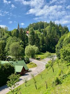 a small building with a green roof next to a road at Apartment Vilém in Janske Lazne