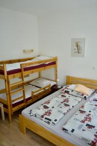 two bunk beds sitting in a room with at Apartment Vilém in Janske Lazne