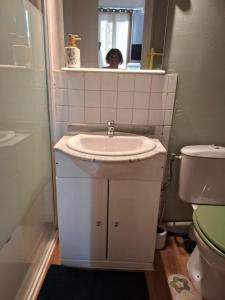 a bathroom with a sink and a toilet at Studio en toute simplicité plein centre in Libourne