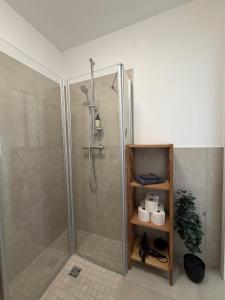 a shower with a glass door in a bathroom at Wohnglück Leer City Nr 3 in Leer