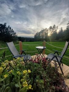 a couple of chairs and a table in a garden at Schäferwagen Weidetraum in Naila