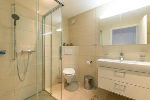 a bathroom with a shower and a toilet and a sink at Moench Apartment - Aare Jungfrau AG in Wilderswil
