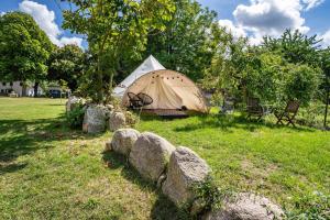 a tent in a field with a tree and rocks at Tipi Jurte Zelt in der Seenplatte in Carpin