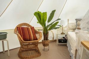 a bedroom with a rattan chair and a plant at Tipi Jurte Zelt in der Seenplatte in Carpin