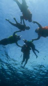 a group of people swimming in the water at Bunaken Jhon Homestay in Manado