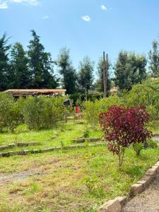 a garden with a bunch of flowers in the grass at Serenity Glamping By Rafiki in Nanyuki