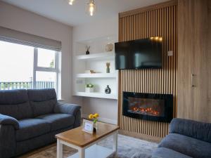 a living room with a couch and a fireplace at Mountain View Cottages in Tralee