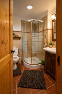 a bathroom with a shower and a toilet and a sink at Rustic Cottage in Sibiu +47 photos