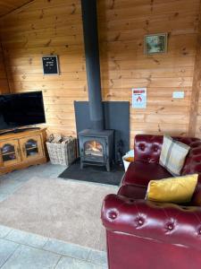 a living room with a couch and a fireplace at Brynmeini Lake Lodge in Glogue Station