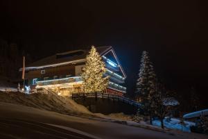 Hotel Alpenrose talvel
