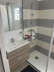 a bathroom with a sink and a shower at La Kaz Saint-Annaise in Sainte-Anne