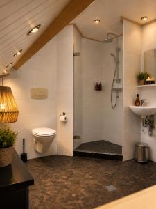 a bathroom with a shower and a toilet and a sink at Woonboerderij Markelo in Markelo +25 photos