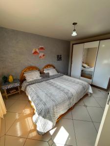 a bedroom with a large bed and a mirror at Cantinho na Serra in Teresópolis +13 photos