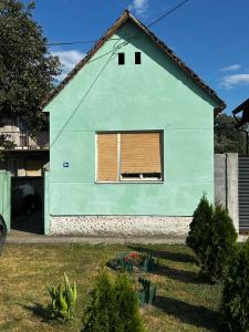 a green house with a window with a brown shutter at Sremac in Kupinovo