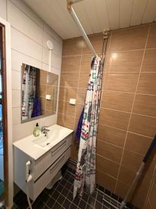 a bathroom with a sink and a shower at Country House Marja 