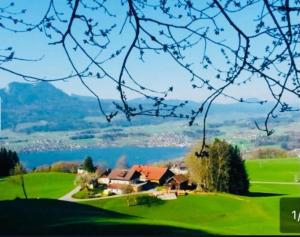a house on a hill with a view of a lake at Ferienwohnung Mondseeblick in Tiefgraben