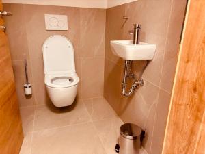 a bathroom with a toilet and a sink at Ferienwohnung Mondseeblick in Tiefgraben +4 photos