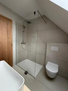 a bathroom with a shower with a toilet and a sink at Apartment House Belca in Preddvor