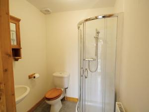 a bathroom with a toilet and a glass shower at Rosemary - E4484A in Catfield
