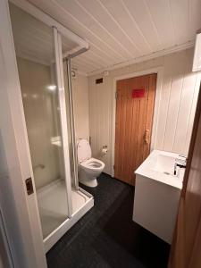 a bathroom with a toilet and a shower and a sink at Vikinggrenda 5C - walking distance to everything - ski in and out in Trysil